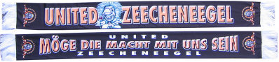 Seidenschal Klassik mit  2 verschiedenen Seiten und Wollfransen